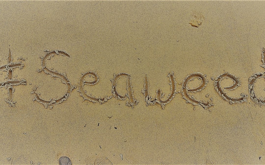 Benefits of Seaweed Through The Ages