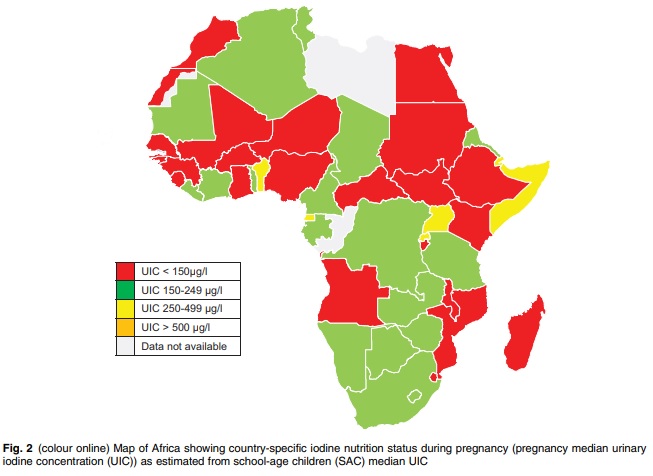 Iodine Status During Pregnancy in Africa